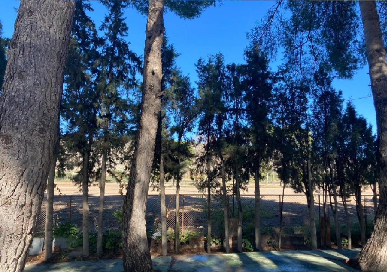 Habitacion En Casa Rural Particular El Palomar วิเยนา ภายนอก รูปภาพ